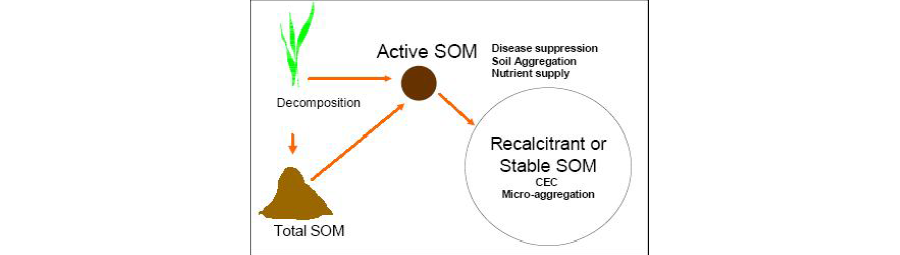 Soil-organic-matter-management